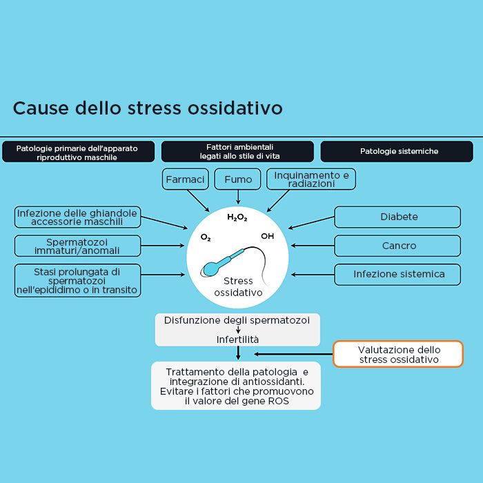Cause stress ossidativo